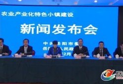 岳阳最新新闻爆料网,揭秘岳阳本土热点事件！