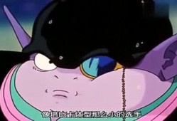吃瓜娱乐的喵,喵星人的吃瓜娱乐大揭秘