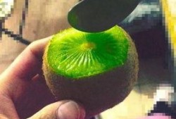 抖音网红各种吃瓜事件,揭秘娱乐圈幕后真相