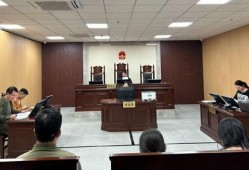 武汉法院爆料案件最新,惊天大案背后真相揭晓