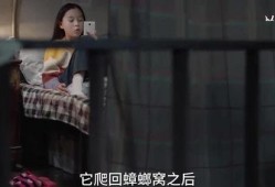 大山里的孩子爆料视频,揭开乡村教育现状的神秘面纱