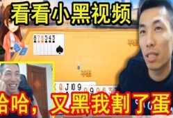 宝茶太华爆料视频大全,视频大全揭秘幕后真相