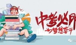 金婧最新爆料消息新闻视频